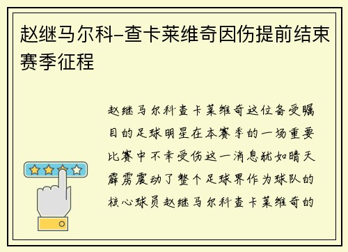 赵继马尔科-查卡莱维奇因伤提前结束赛季征程